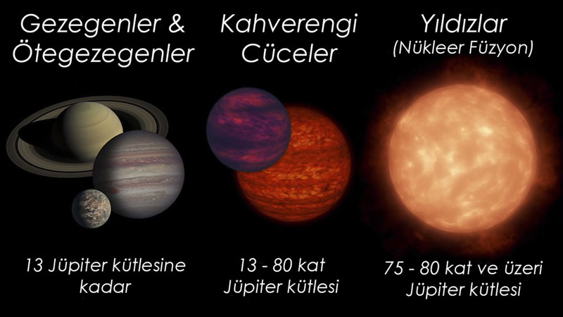 kahverengi cüce
