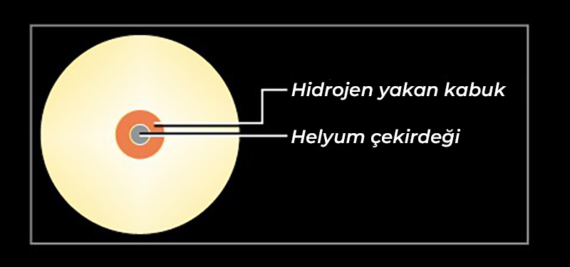 Yıldızların yaşam döngüleri