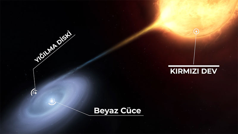 beyaz cüce kırmızı dev nova